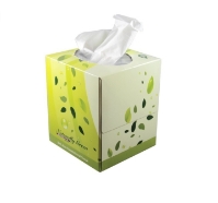 Facial Tissues - Boutique Box - TREE FRIENDLY Facial Tissues TREE FRIENDLY Dante Disposables