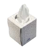 Facial Tissues - Boutique Box Facial Tissues Dante Disposables